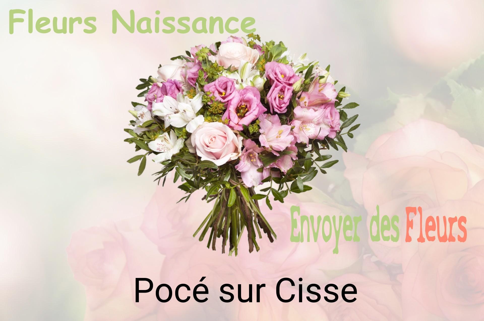 Bouquet de fleurs de naissance livré à Pocé-sur-Cisse